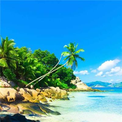 569vip威尼斯游戏